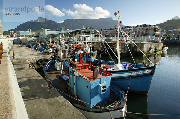 Fischerboote an der Waterfront  Hintergrund Tafelberg  Kapstadt  Südafrika