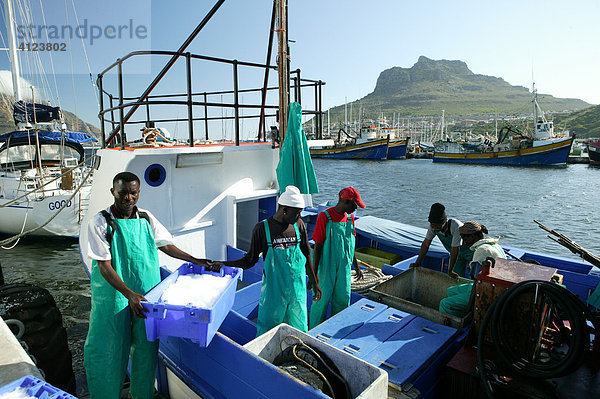 Fischer in der Hout Bay auf Hochsee-Trawler verladen den eisgekühlten Fisch  Kapstadt  Südafrika