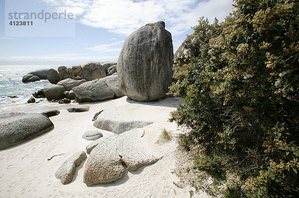 Vom Meerwasser geformte Steinformationen am Kap der Guten Hoffnung  Südafrika