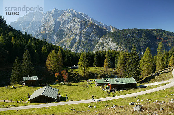 Gotzental-Alm  Watzmann  Berchtesgadener Land  Oberbayern  Deutschland