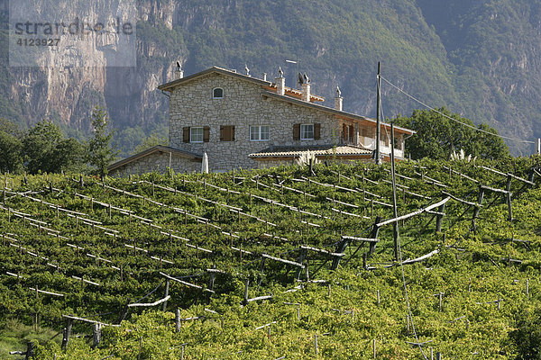 Haus am Weinberg  Südtirol  Italien