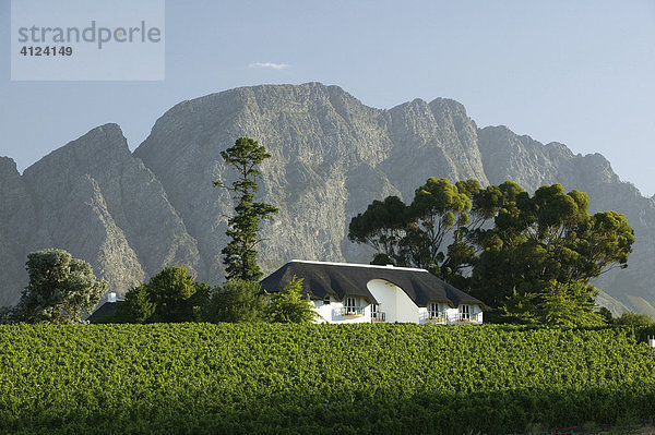 Landhaus im Weinland  Kapstadt  Südafrika