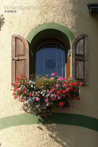 Einzelnes Bogen-Fenster mit Geranien  Bayerische Wald  Bayern  Deutschland