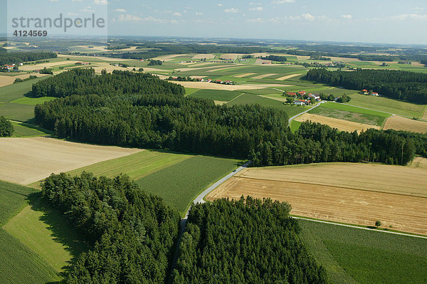 Zersiedelte Hügellandschaft  Niederbayern  Bayern  Deutschland