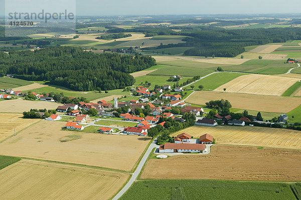 Zersiedelte Hügellandschaft  Niederbayern  Bayern  Deutschland