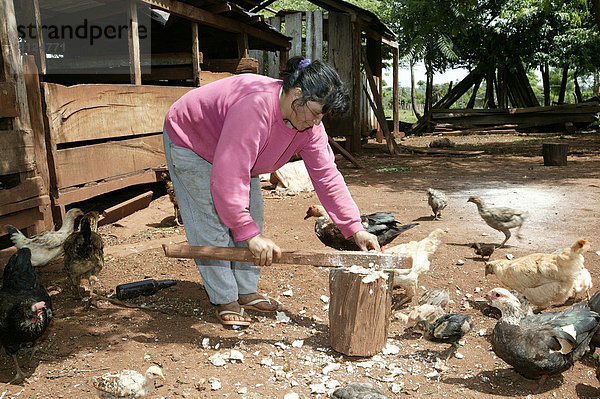 Frau füttert Hühner mit Maniok  Paraguay  Südamerika