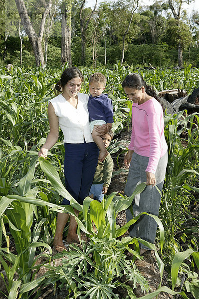 Frauen und Kinder auf einem Mais- und Maniokfeld  frisch gerodeter Urwald  Asuncion  Paraguay  Südamerika