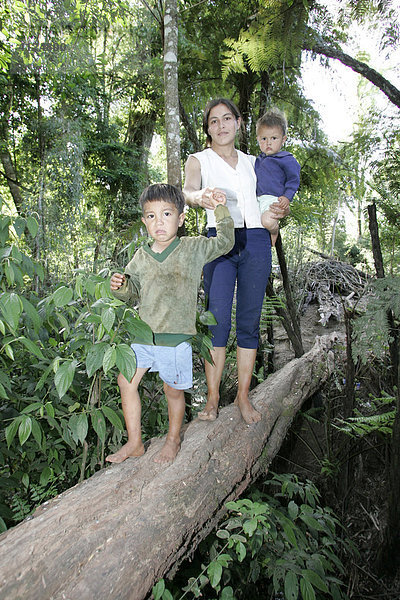 Mutter mit zwei Kindern balancieren auf einem Baumstamm durch den Wald  Paraguay  Südamerika