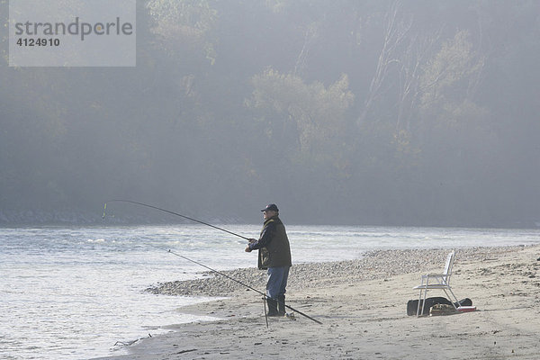 Angler  herbstliche Nebelstimmung am Inn  Oberbayern  Bayern  Deutschland