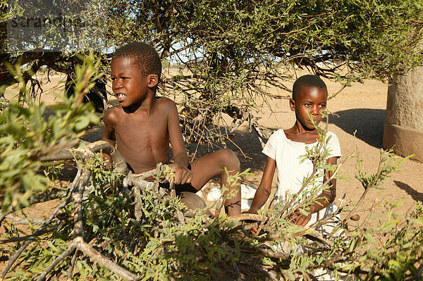 Zwei Jungen wippen auf einem Ast. Cattlepost Bothatogo  Botswana  Afrika