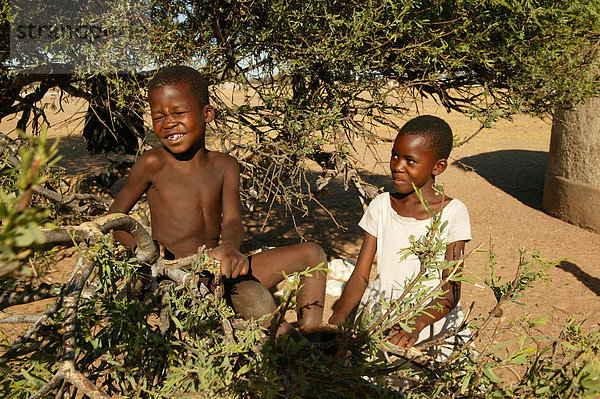 Zwei Jungen wippen auf einem Ast. Cattlepost Bothatogo  Botswana  Afrika