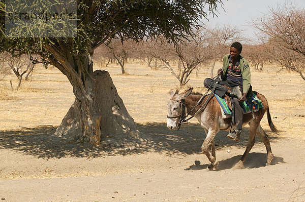 Junge reitet auf Esel  Cattlepost Bothatoga  Botswana  Afrika