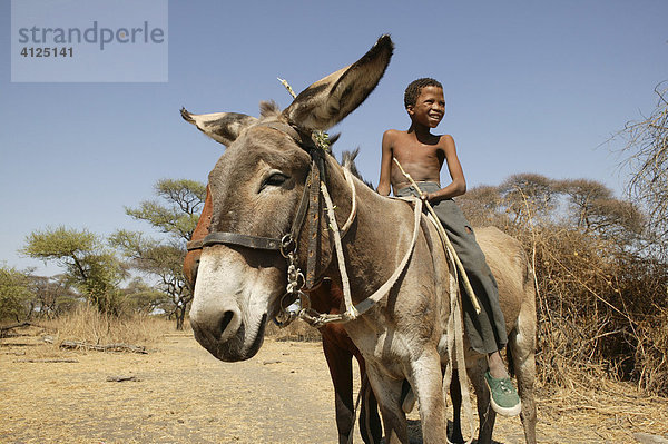 Junge reitet auf Esel  Cattlepost Bothatoga  Botswana  Afrika