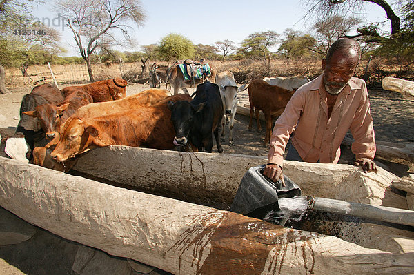 Hirte an der Tränke  Cattlepost Bothatoga  Botswana  Afrika