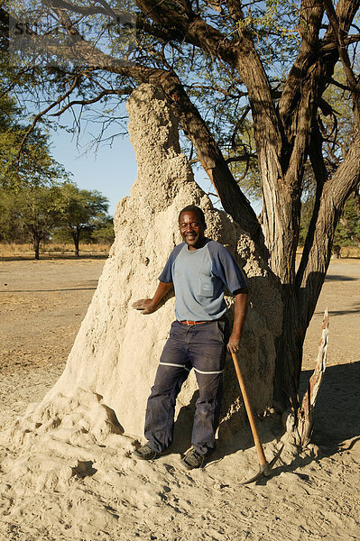 Traditioneller Heiler erklärt die Heilkraft von Termiten  Termitenhügel  Sehitwa  Botswana  Afrika