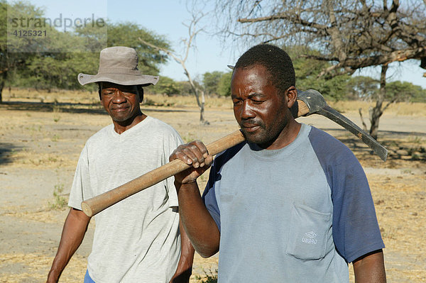 Traditioneller Heiler auf der Suche nach Heilpflanzen  Sehitwa  Botswana  Afrika