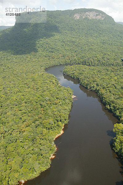 Regenwald  Zufluss zum Kaieteur Wasserfall  Luftaufnahme  Guyana  Südamerika