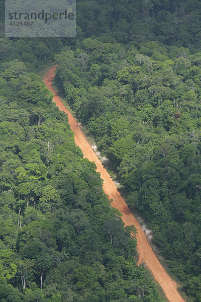Straße durch den Regenwald  Luftaufnahme  Guyana  Südamerika