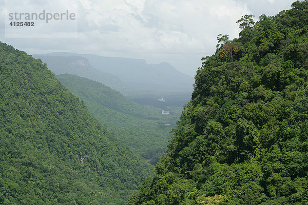 Blick vom Kaieteur Wasserfall im Nationalpark Potaro  Guyana  Südamerika