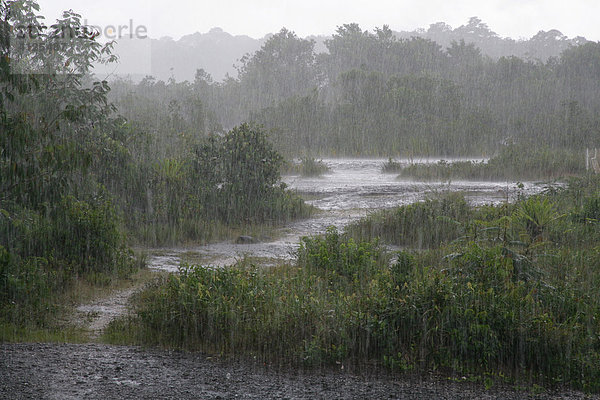 Tropischer Regen beim Kaieteur Wasserfall  Nationalpark Potaro  Guyana  Südamerika
