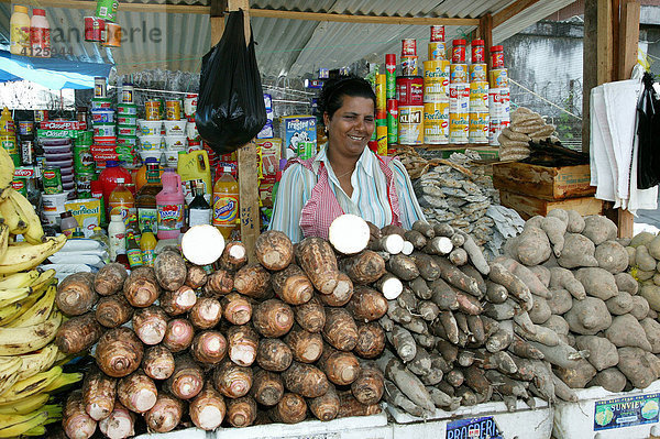 Frau im Laden verkauft Maniok (Manihot esculenta)  Marktplatz  Georgetown  Guyana  Südamerika
