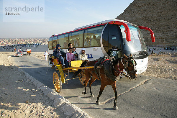Pferdegespann und Touristenbuss bei den Pyramide  Ghize  Ägypten  Afrika
