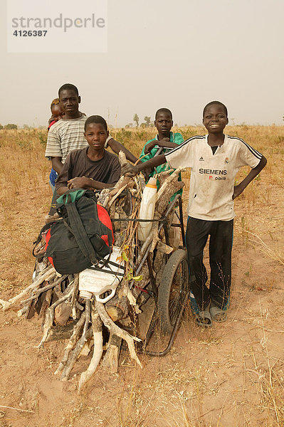 Jungen sammeln Holz mit einem leiterwagen  Sahelzone  Kamerun  Afrika