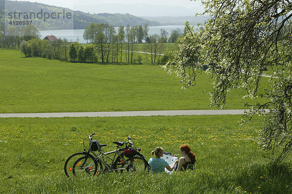 Fahrrad Fahrerinnen mit Landkarte  am Tachinger See  St. Coloman  Oberbayern  Bayern  Deutschland  Europa