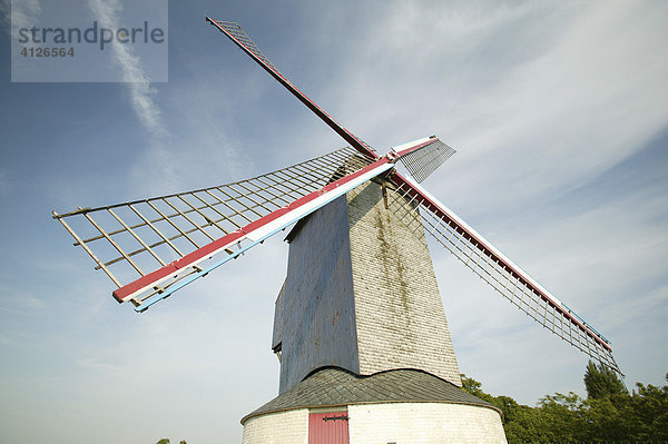 Windmühle  Ostflandern  Belgien  Europa