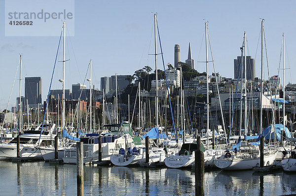 Jachthafen am Pier 39  Fisherman's Wharf  San Francisco  Kalifornien  USA  Nordamerika