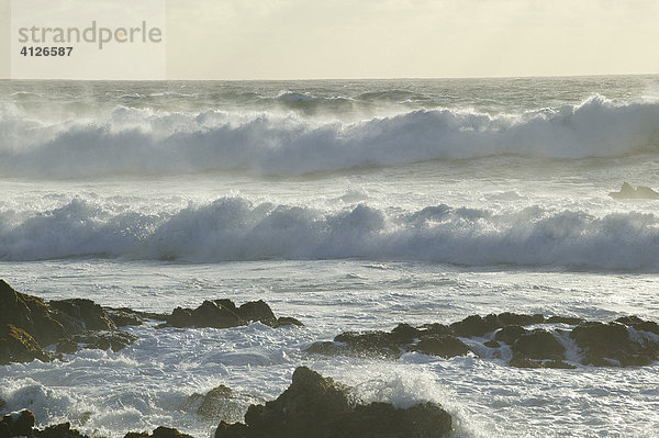 Wellen brechen am Felsenriff  Pazifik  Kalifornien  USA  Nordamerika