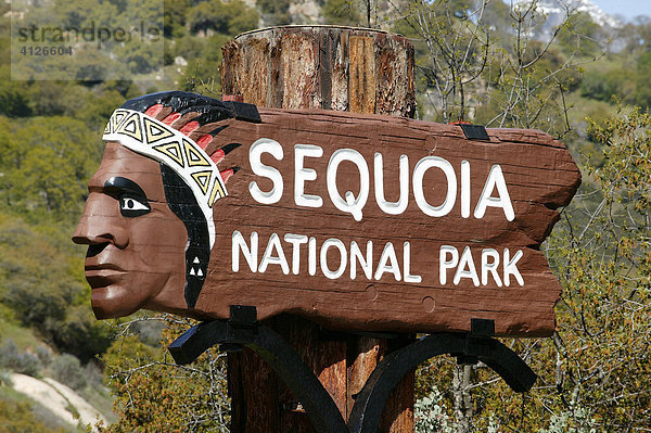 Sequoia Nationalpark  Kalifornien  USA  Nordamerika