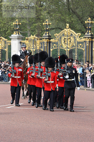 Royal Guard vor dem Buckingham Palace  London  England  Großbritannien  Europa
