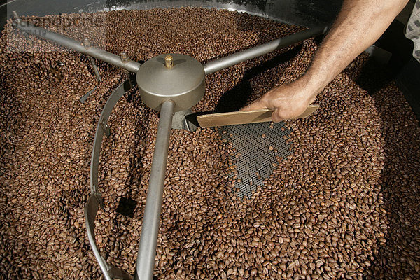 Hochlandkaffee wird gekühlt  Kaffeerösterei  Goroka  Papua Neuguinea  Melanesien  Kontinent Australien