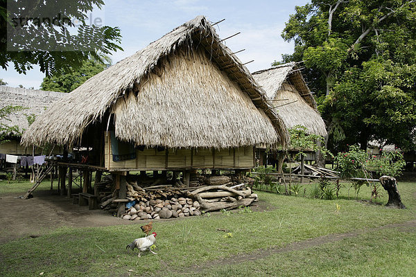 Traditionelle Pfahlbauten im Dorf Mindre  Wohnhäuser  Papua Neuguinea  Melanesien  Kontinent Australien