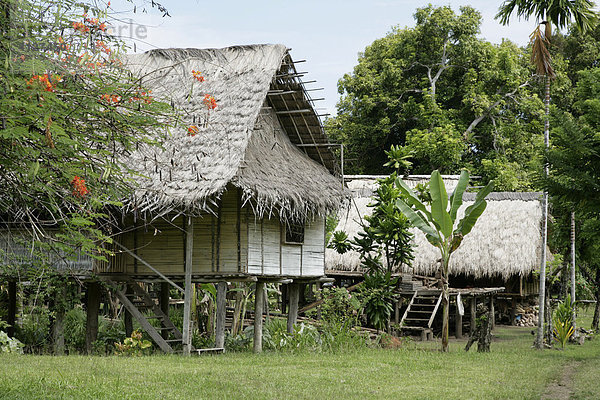 Traditionelle Pfahlbauten im Dorf Mindre  Wohnhäuser  Papua Neuguinea  Melanesien  Kontinent Australien