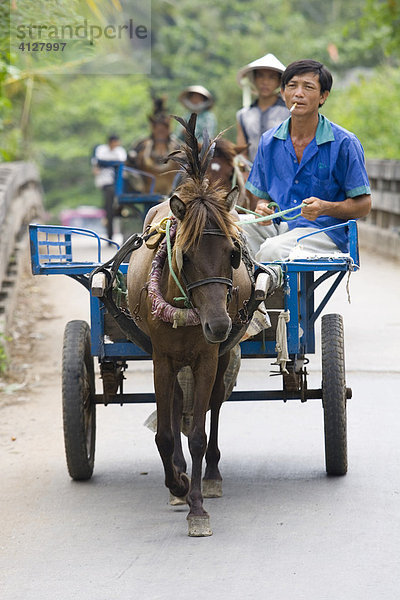 Ein Mann auf einer Kutsche im Mekong Delta  Vietnam  Asien