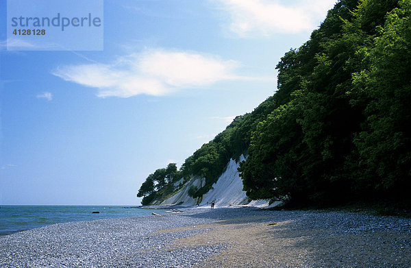 Steilküstenstrand Kreideküste  Nationalpark Jasmund  Insel Rügen  Mecklenburg Vorpommern  Deutschland