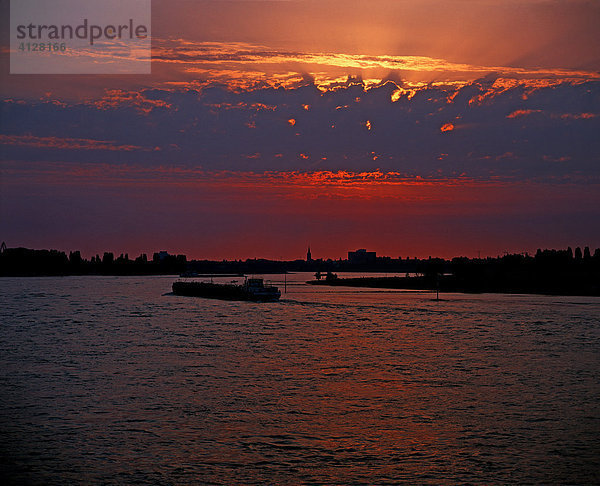 Sonnenuntergang am Rhein in Düsseldorf  Nordrhein-Westfalen  Deutschland