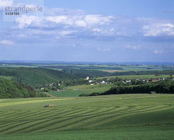 Landwirtschaft  Eifel  Deutschland  Europa