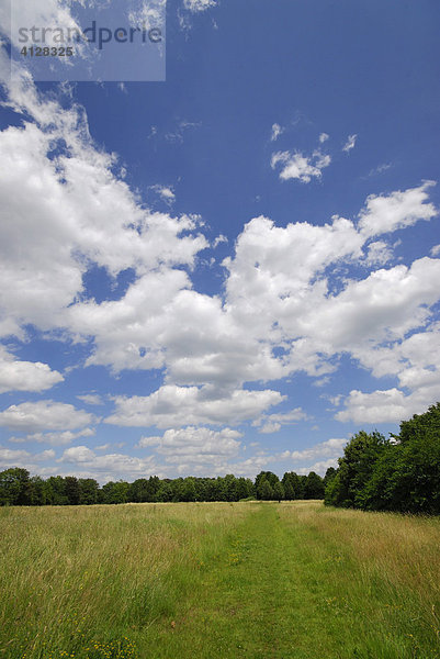 Wiesenweg