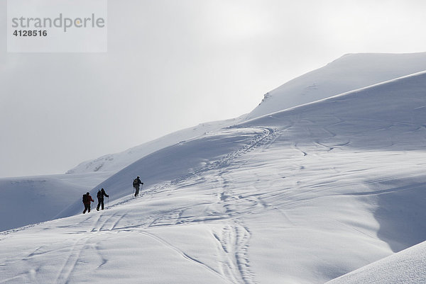 Moutaineers hiking on ski in the Zillertaler alps  Tyrol Austria