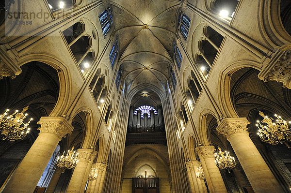 Innenansicht  Notre Dame de Paris  Paris  Frankreich
