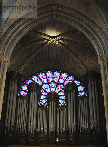 Innenansicht mit Orgel und Fensterrose  Notre Dame de Paris  Paris  Frankreich
