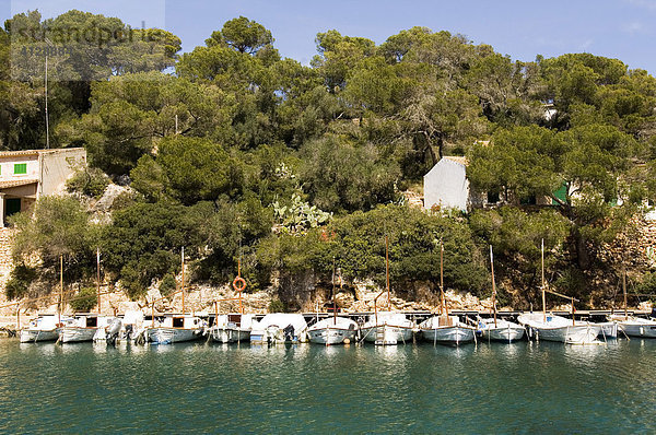 Bucht von Cala Figuera mit Fischerbooten vor Bäumen  Cala Figuera  Mallorca  Balearen  Spanien  Europa