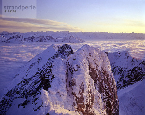 Blick von der Westlichen Karwendelspitze  Nebelmeer  hinten Stubaier Alpen  Karwendel  Tirol  Österreich