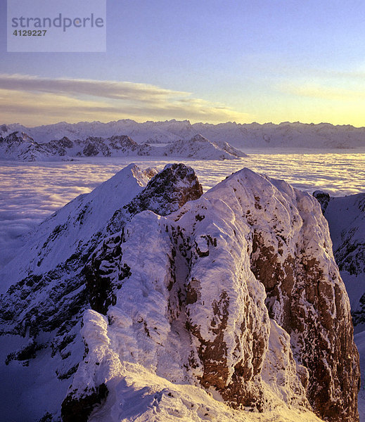 Blick von der Westlichen Karwendelspitze  Nebelmeer  hinten Stubaier Alpen  Karwendel  Tirol  Österreich