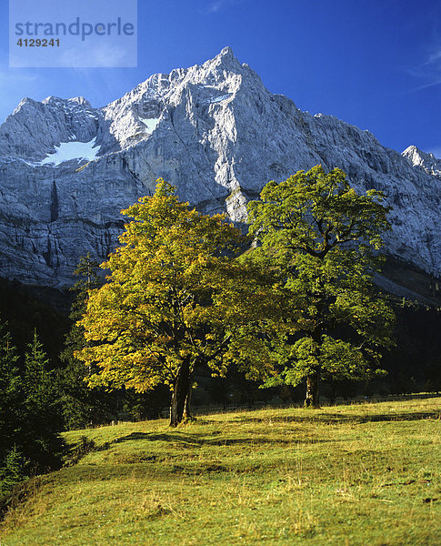 Großer Ahornboden  Spritzkarspitze  Eiskarln  Karwendel  Tirol  Österreich