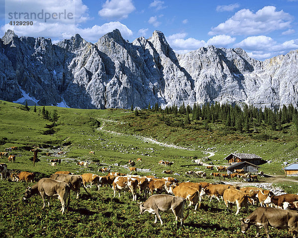 Ladizalm  Bockkarspitze und Nördliche Sonnenspitze  Vieh  Karwendel  Tirol  Österreich