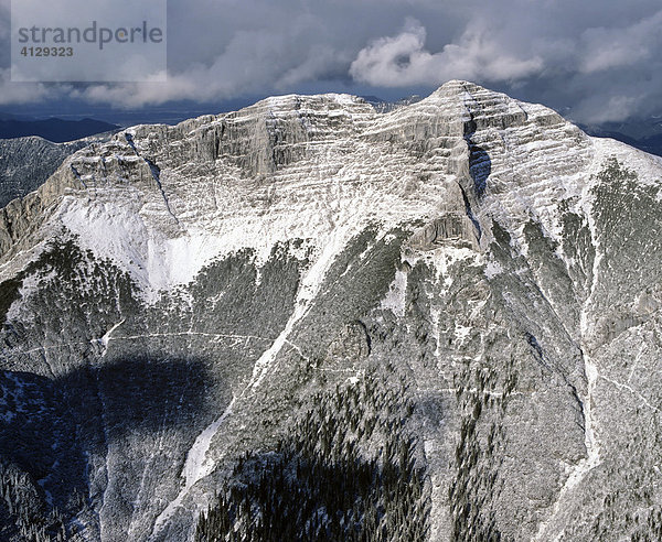 Guffert  Brandenburger Alpen  Tirol  Österreich